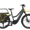 Riese und Müller Multicharger Mixte GT family ab: – Bild 2