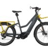Riese und Müller Multicharger Mixte GT family ab: – Bild 3